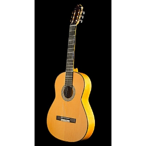 Flamenca Profesional